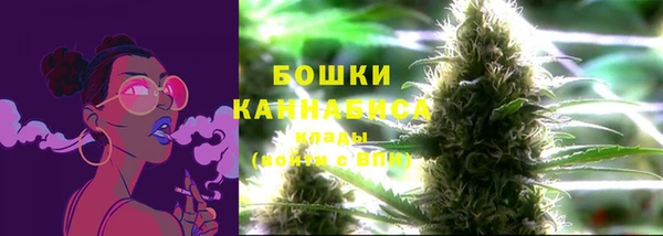 сатива Магадан
