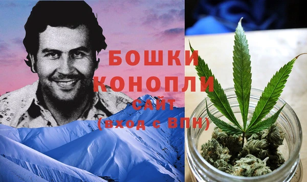 сатива Магадан
