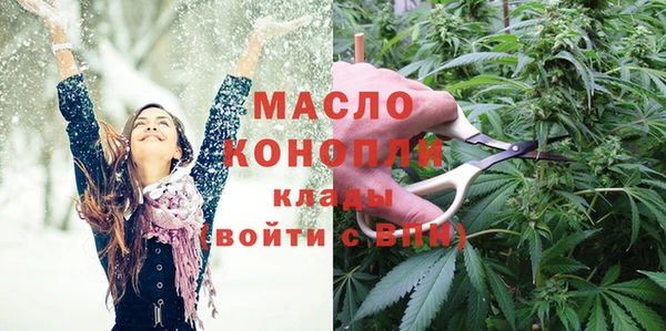 сатива Магадан