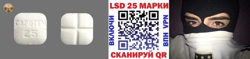 ЛСД экстази ecstasy  где купить наркотик  Чкаловск 